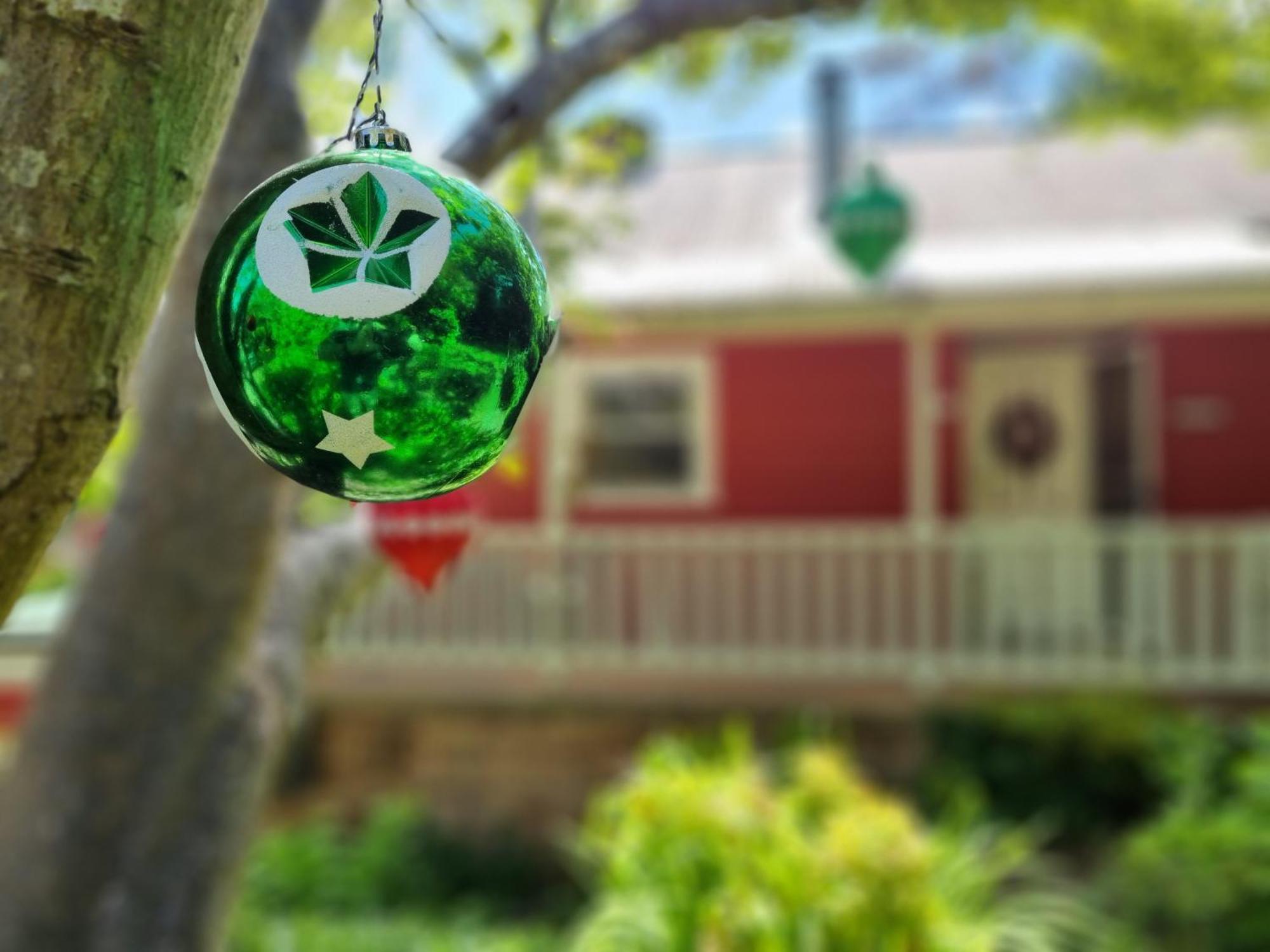 Akarana Cottage Leura Δωμάτιο φωτογραφία